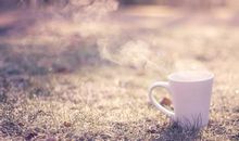 最唯美的句子经典语句