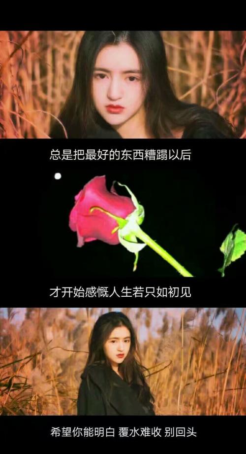 女孩霸气的爱情谈话