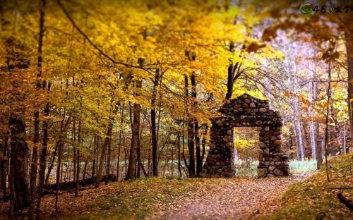 为秋天写美丽的句子