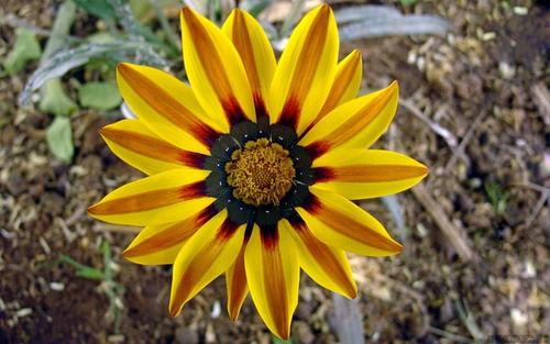 一整套描述月亮的成语