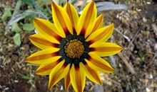 描写月亮的成语大全