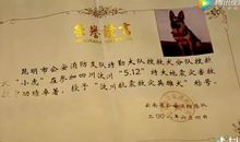 抖音心疼的句子