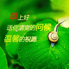 冬天的早晨问候文本