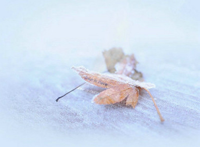 生命感知的句子很短：生命的温暖取决于灵魂的温度1