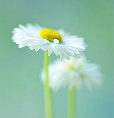 生命感知的句子很简短：生命的温暖取决于灵魂的温度