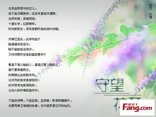 描述冷漠的句子