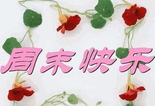 六月周末的祝福