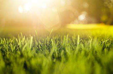 当我们渴望并充满阳光时，是或否，可能并不那么重要1