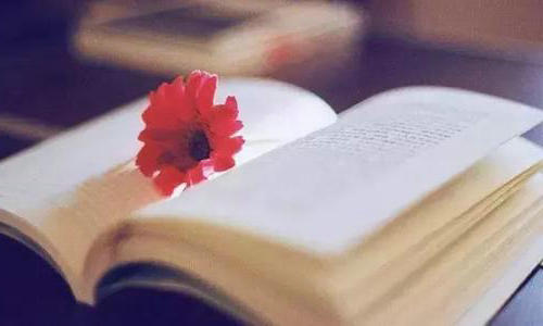 以淡泊的态度，过上美好的生活，过上自在的生活。 1个