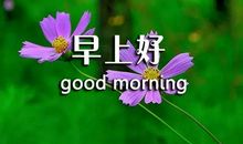 朋友之间祝福语