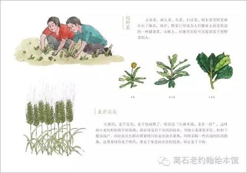 表达天气物候的谚语