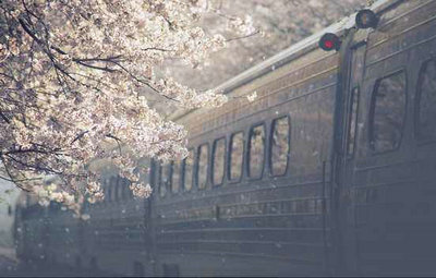 感伤的句子谈论情绪。简短的句子：随时随地的感性呼唤1