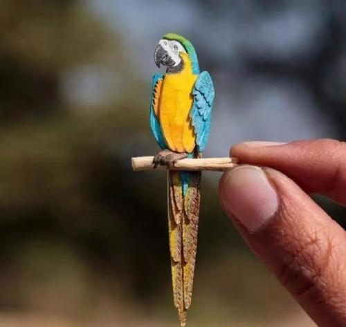 简洁明了的言语表扬领导者