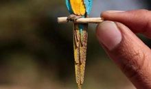 赞扬领导的话简短精辟