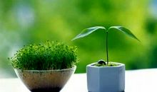 有关人生道路感悟的经典句子摘抄大全