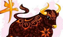 有关生肖兔的谚语