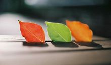 成熟人生感悟的句子【精选35句】