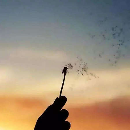 我忍耐的人鄙视爱1