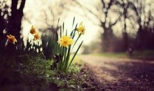 生活总把人逼到死角，可是我们依旧要努力的生存