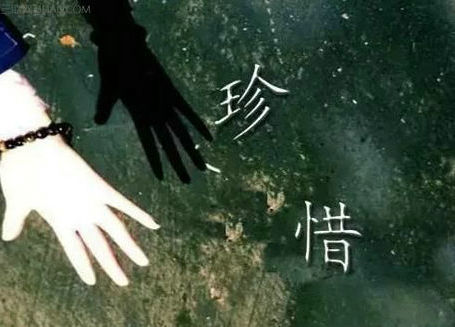 我们还没有学会珍惜爱情的日常生活