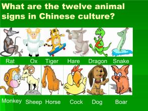 与身体有关的英语谚语