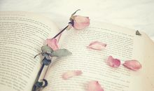 具有哲理的句子伤感说说：一息若存，希望不灭