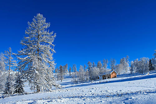 冬季风光的好单词和句子