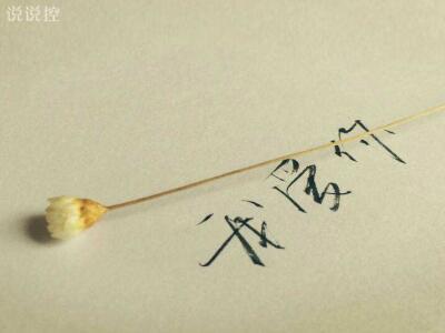 一句话表达爱意