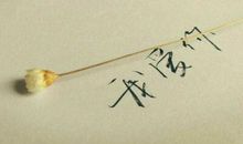 一句话表达爱的说说