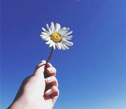 成功就像学会走路。只有当您经常摔倒时，您才能真正起床。 1个