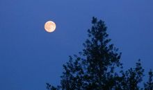 描写月亮的优美语句