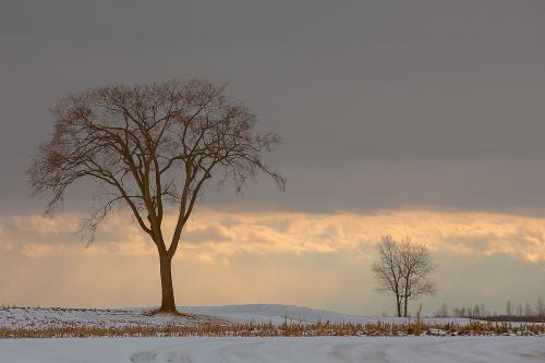 冬天温暖的爱语