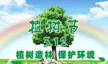 爱绿护绿环保标语
