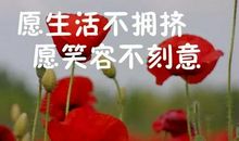 经典哲理句子句句穿心