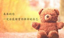 成功就像学走路，只有经常摔倒，最后才能真正的爬起来