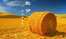 秋分的谚语