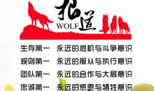 励志的销售团队口号