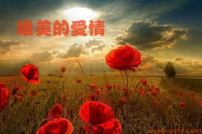 关于爱情的句子很美：真正的爱情需要等待，任何人都可以说爱你，但不是每个人都可以等你