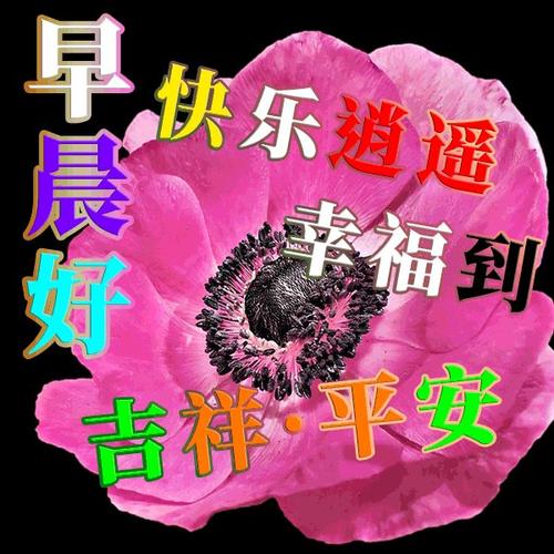 美丽的祝福短语