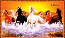 与马有关的谚语