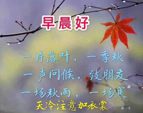 给女性朋友的问候