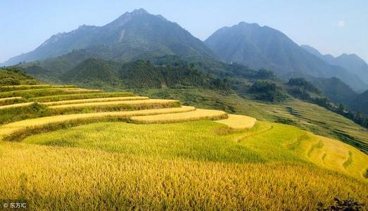 关于如何种好作物的谚语