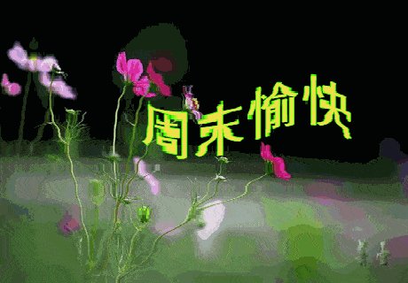 简单的周末愿望