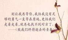 逝去青春的句子