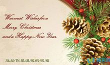 老人新年祝福语2019