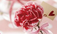 感恩的祝福语大全