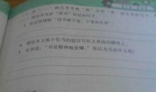 关于辣椒比喻句