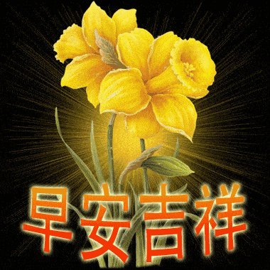 感动2019年长祝福句