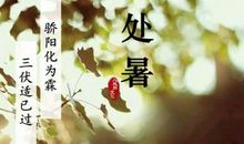 处暑节气相关谚语