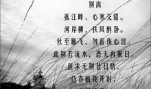 描写主持人的句子